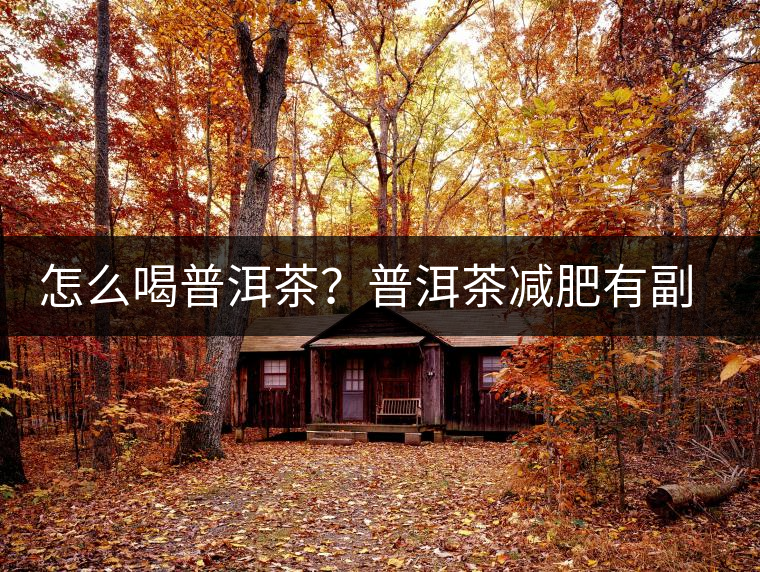 怎么喝普洱茶？普洱茶減肥有副作用嗎？