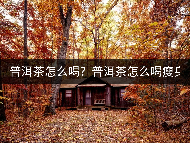 普洱茶怎么喝？普洱茶怎么喝瘦身？