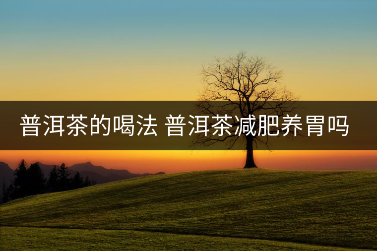 普洱茶的喝法 普洱茶減肥養(yǎng)胃嗎？