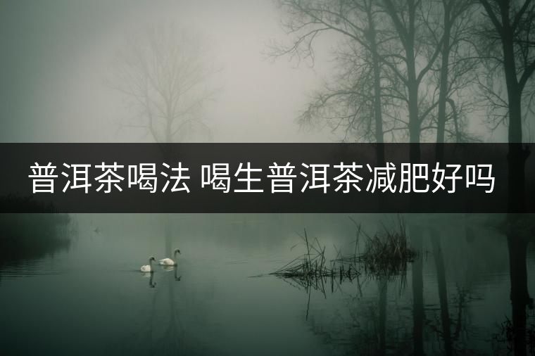 普洱茶喝法 喝生普洱茶減肥好嗎？