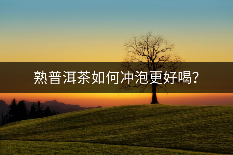 熟普洱茶如何沖泡更好喝？