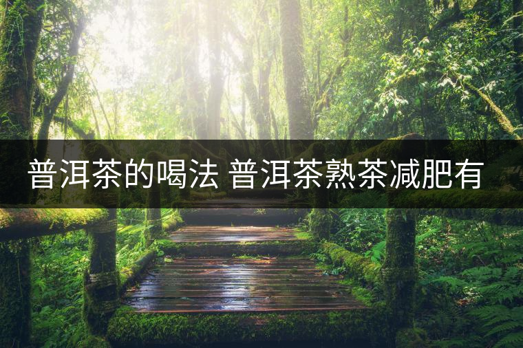 普洱茶的喝法 普洱茶熟茶減肥有什么效果嗎？