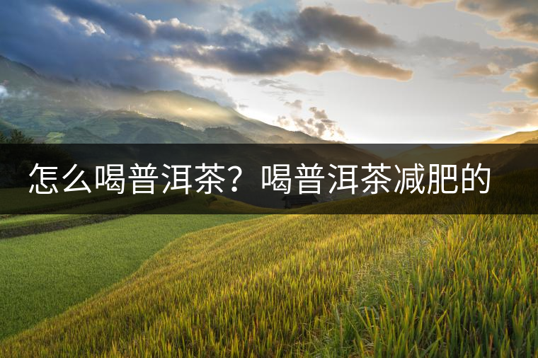 怎么喝普洱茶？喝普洱茶減肥的注意事項(xiàng)