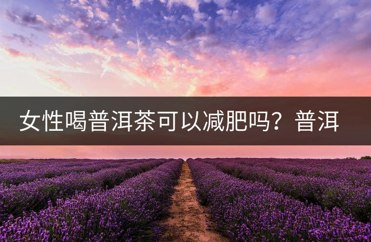 女性喝普洱茶可以減肥嗎？普洱茶的功效又有哪些呢？