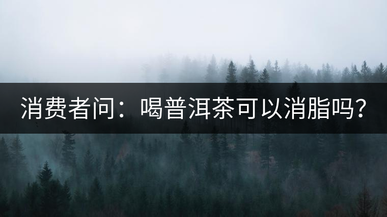 消費者問：喝普洱茶可以消脂嗎？