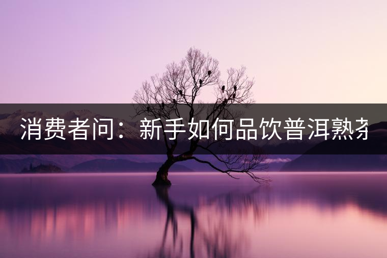 消費者問：新手如何品飲普洱熟茶？