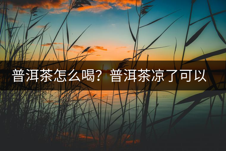 普洱茶怎么喝？普洱茶涼了可以喝嗎？