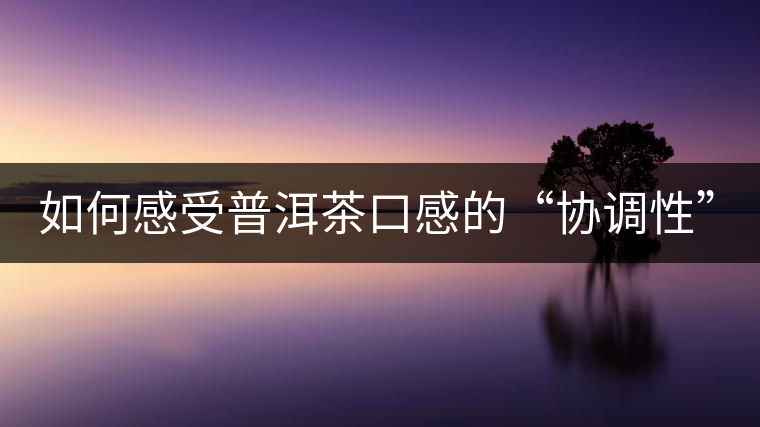 如何感受普洱茶口感的“協(xié)調(diào)性”？
