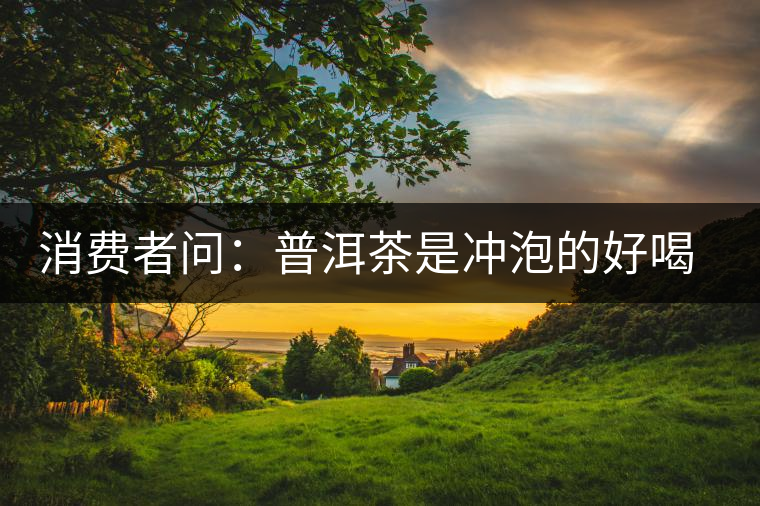 消費(fèi)者問：普洱茶是沖泡的好喝？還是煮著喝好？