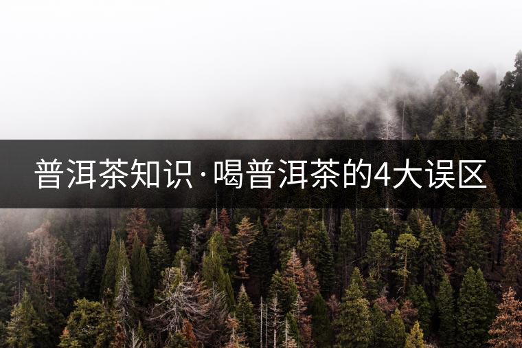 普洱茶知識·喝普洱茶的4大誤區(qū)