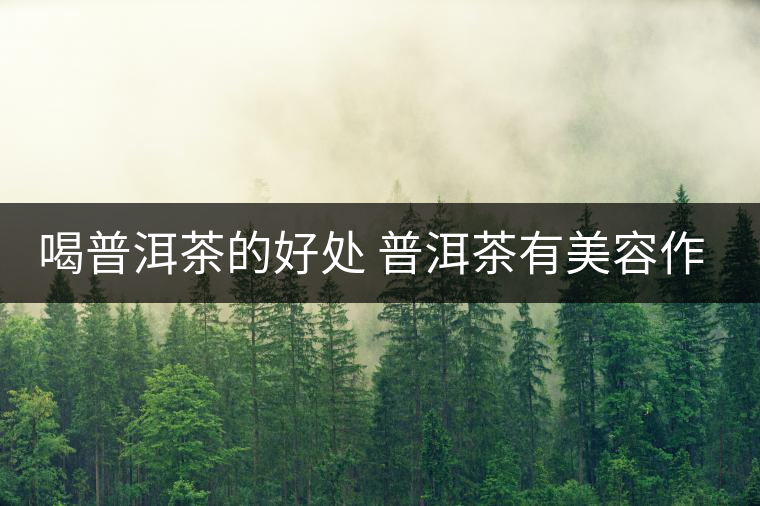 喝普洱茶的好處 普洱茶有美容作用