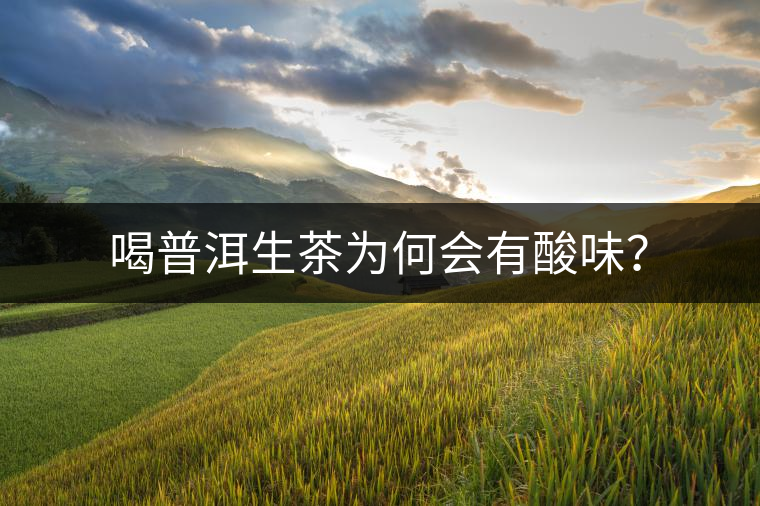 喝普洱生茶為何會(huì)有酸味？