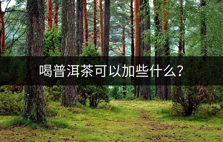 喝普洱茶可以加些什么? 喝普洱茶可以加些什么?