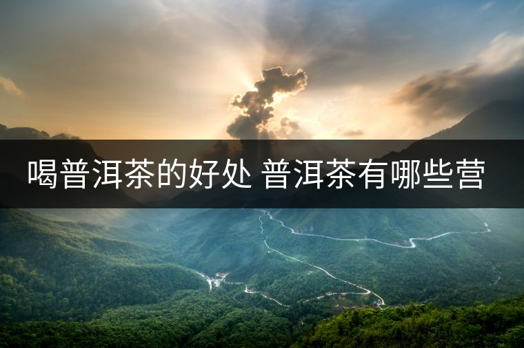 喝普洱茶的好處 普洱茶有哪些營養(yǎng)價(jià)值？