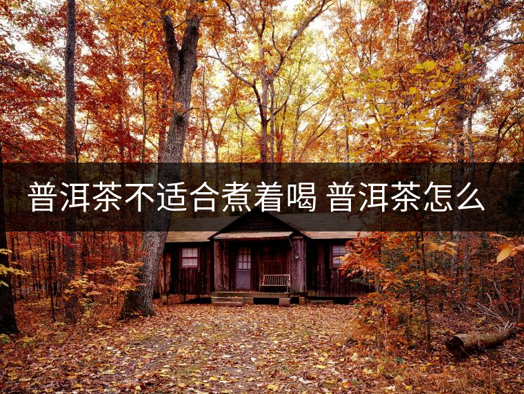 普洱茶不適合煮著喝 普洱茶怎么喝？