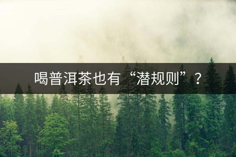 喝普洱茶也有“潛規(guī)則”？