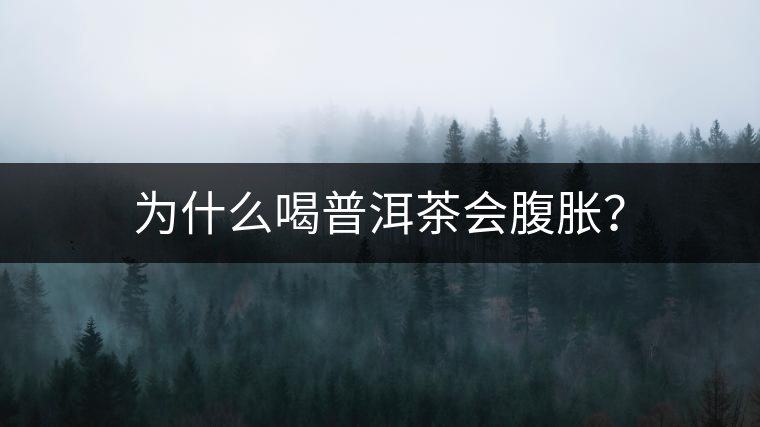 為什么喝普洱茶會腹脹？