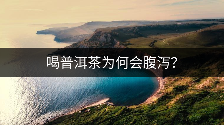 喝普洱茶為何會腹瀉？