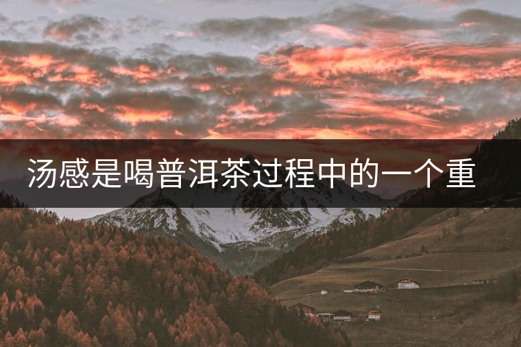 湯感是喝普洱茶過程中的一個重要感覺