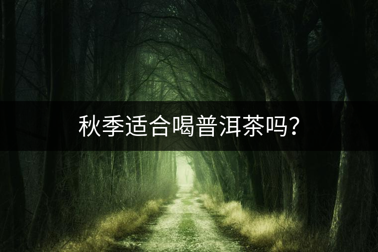 秋季適合喝普洱茶嗎？