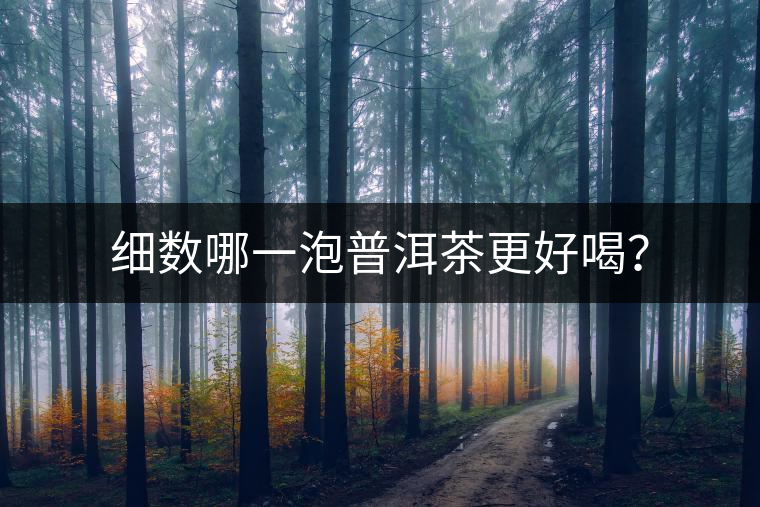 細(xì)數(shù)哪一泡普洱茶更好喝？