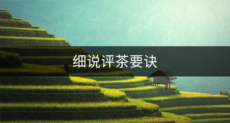 細說評茶要訣 細說評茶要訣