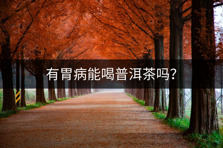 有胃病能喝普洱茶嗎？