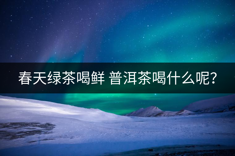 春天綠茶喝鮮 普洱茶喝什么呢？