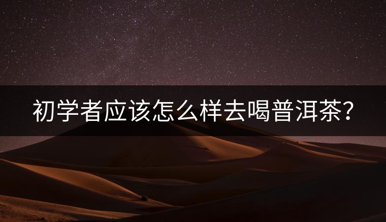 初學(xué)者應(yīng)該怎么樣去喝普洱茶？