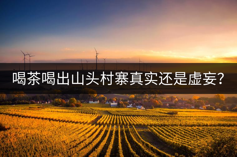 喝茶喝出山頭村寨真實還是虛妄？