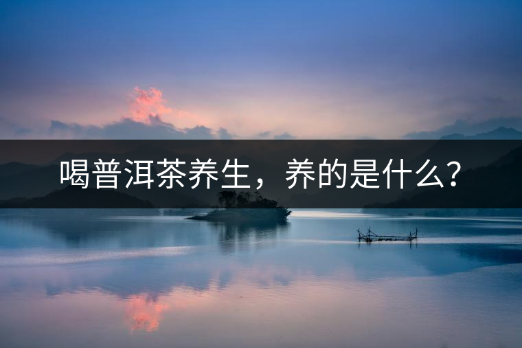 喝普洱茶養(yǎng)生，養(yǎng)的是什么？