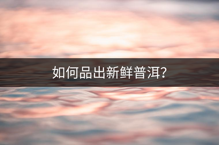 如何品出新鮮普洱？