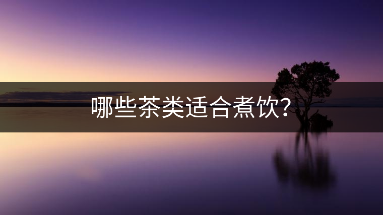 哪些茶類適合煮飲？