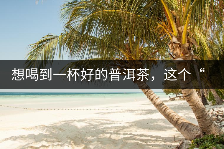 想喝到一杯好的普洱茶，這個(gè)“醒茶”步驟很關(guān)鍵