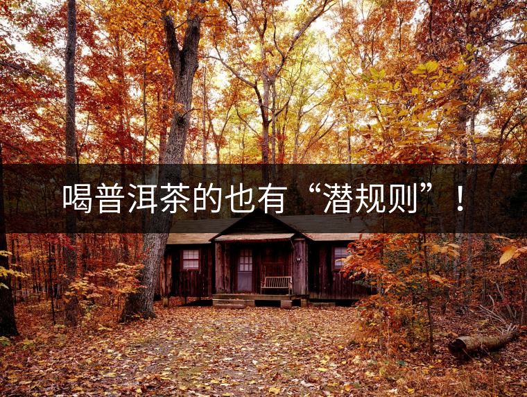 喝普洱茶的也有“潛規(guī)則”！