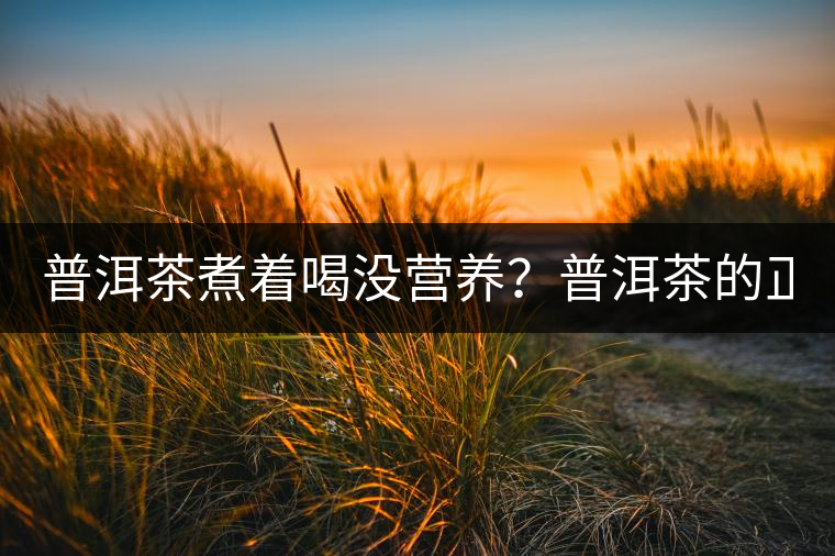 普洱茶煮著喝沒營養(yǎng)？普洱茶的正確煮法！