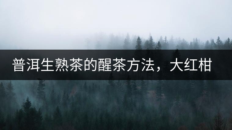 普洱生熟茶的醒茶方法，大紅柑與小青柑對比