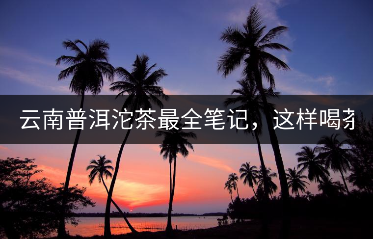 云南普洱沱茶最全筆記，這樣喝茶才更健康！