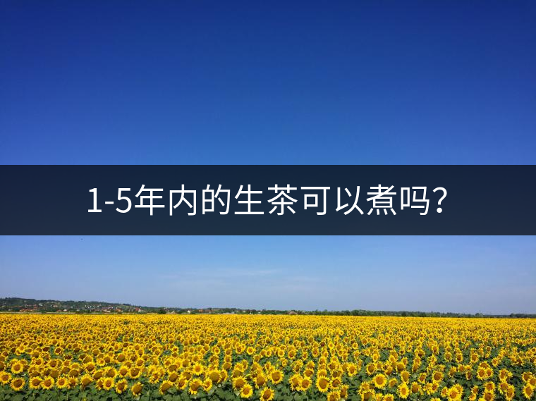 1-5年內(nèi)的生茶可以煮嗎？