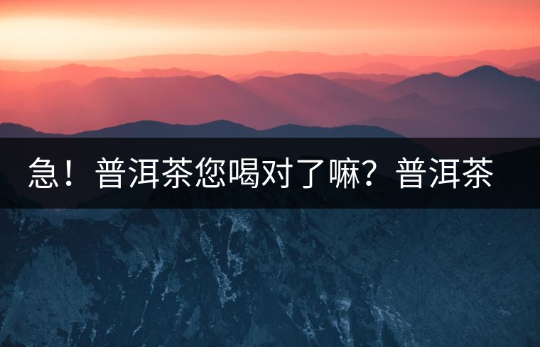 急！普洱茶您喝對(duì)了嘛？普洱茶的十八般武藝
