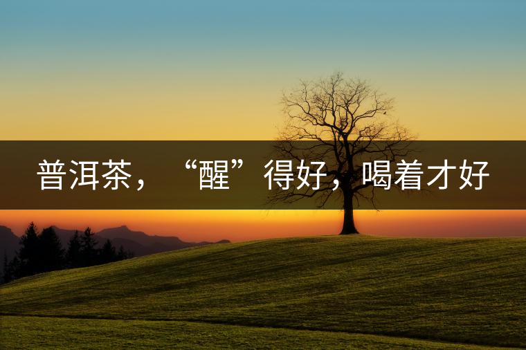 普洱茶，“醒”得好，喝著才好
