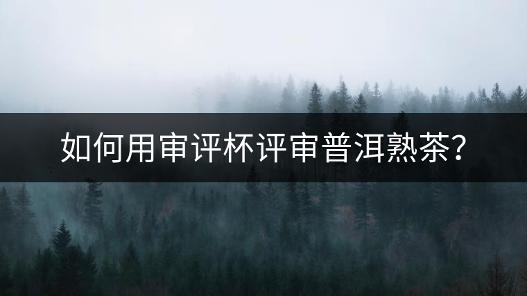 如何用審評(píng)杯評(píng)審普洱熟茶？