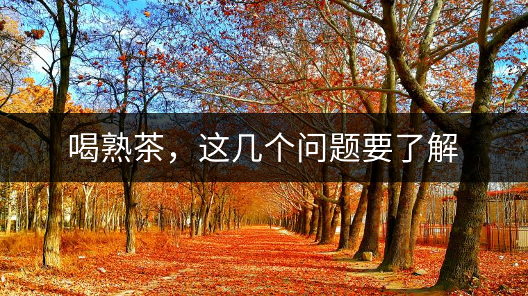 喝熟茶，這幾個問題要了解