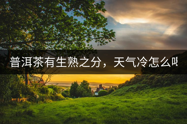 普洱茶有生熟之分，天氣冷怎么喝？