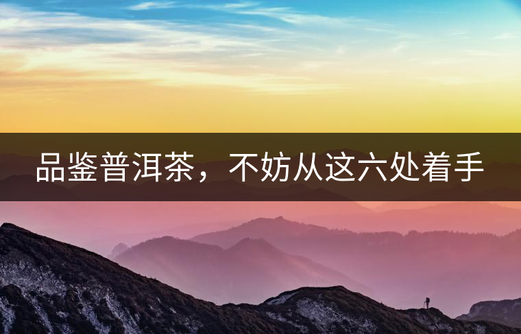 品鑒普洱茶，不妨從這六處著手