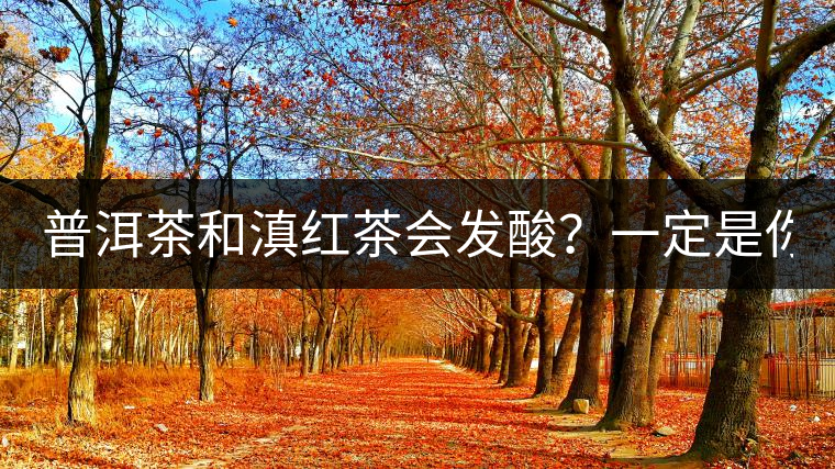 普洱茶和滇紅茶會(huì)發(fā)酸？一定是你這么做了！