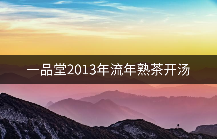 一品堂2013年流年熟茶開湯 一品堂2013年流年熟茶開湯