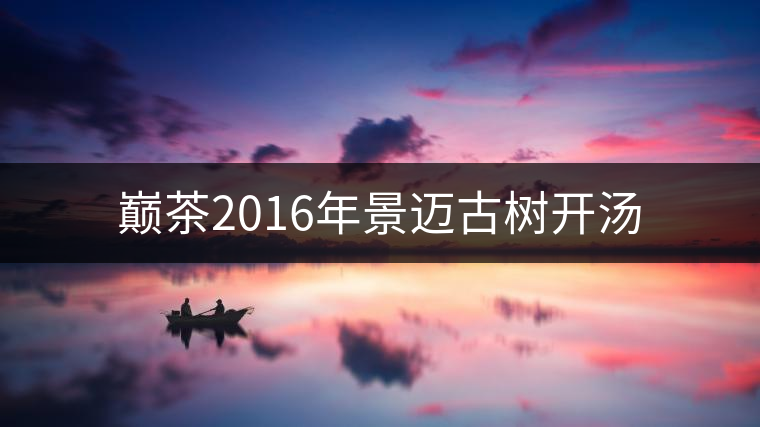 巔茶2016年景邁古樹開湯