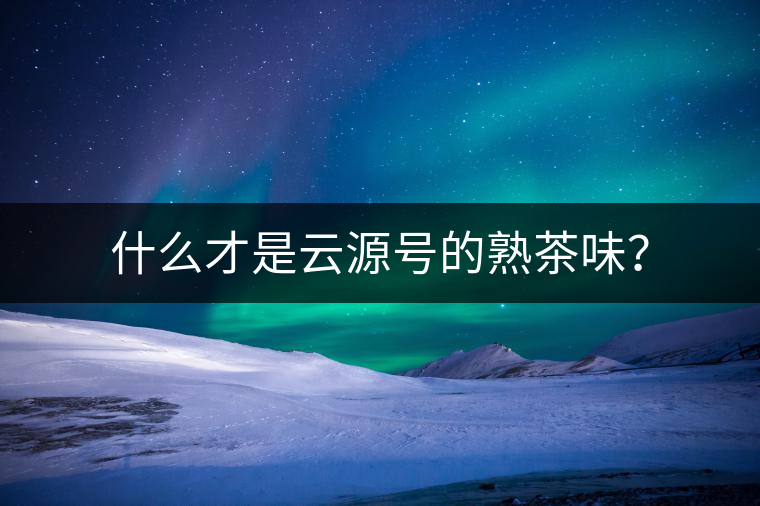 什么才是云源號(hào)的熟茶味？