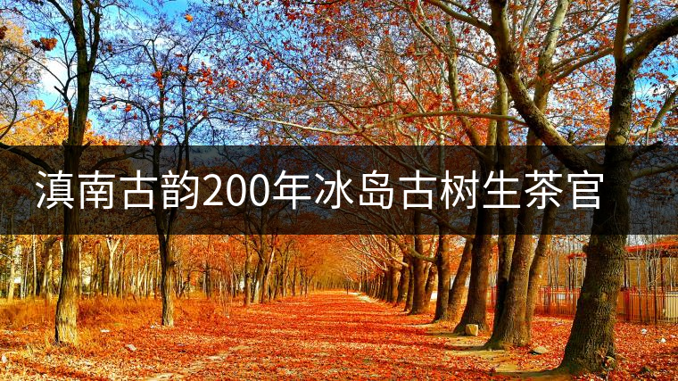 滇南古韻200年冰島古樹(shù)生茶官方評(píng)測(cè) 滇南古韻200年冰島古樹(shù)生茶官方評(píng)測(cè)